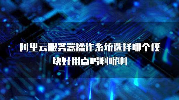 阿里云服务器操作系统选择哪个模块好用点吗啊呢啊