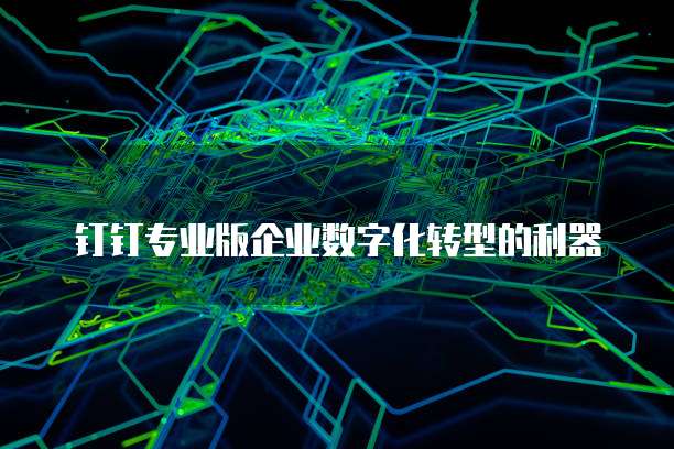 钉钉专业版企业数字化转型的利器