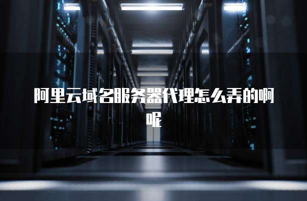 阿里云域名服务器代理怎么弄的啊呢
