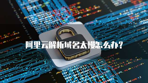 阿里云解析域名太慢怎么办?