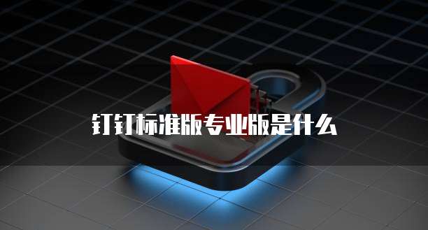 钉钉标准版专业版是什么