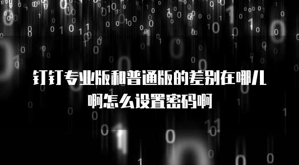 钉钉专业版和普通版的差别在哪儿啊怎么设置密码啊