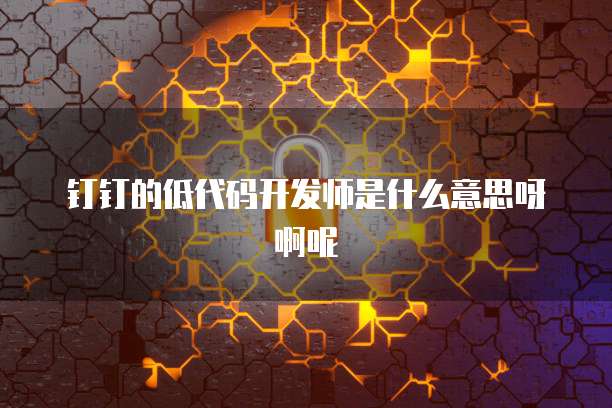 钉钉的低代码开发师是什么意思呀啊呢