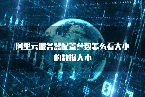 阿里云服务器配置参数怎么看大小的数据大小