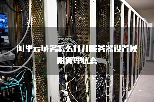 阿里云域名怎么打开服务器设置权限管理状态