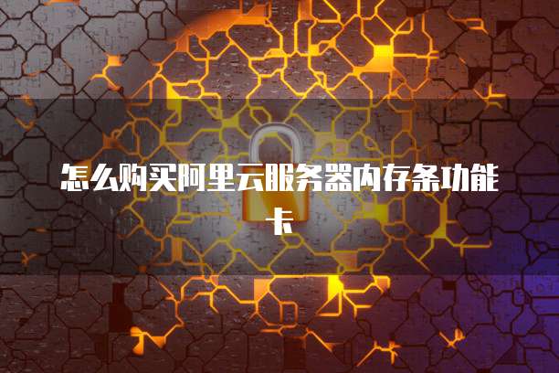 怎么购买阿里云服务器内存条功能卡