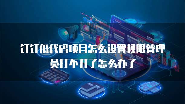 钉钉低代码项目怎么设置权限管理员打不开了怎么办了