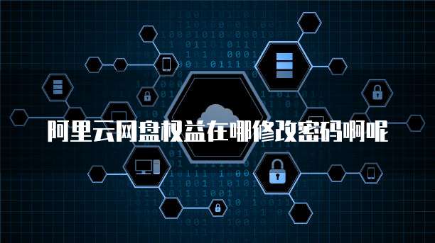 阿里云网盘权益在哪修改密码啊呢