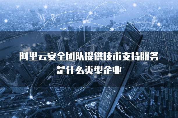 阿里云安全团队提供技术支持服务是什么类型企业