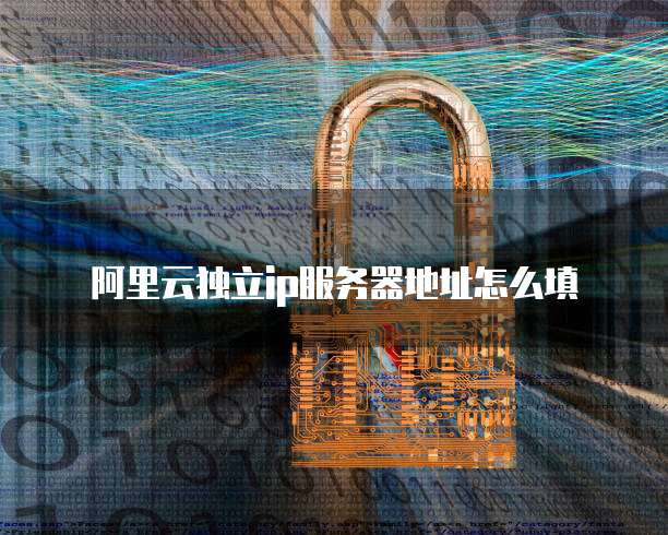 阿里云独立ip服务器地址怎么填
