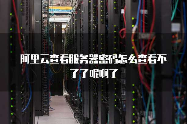 阿里云查看服务器密码怎么查看不了了呢啊了