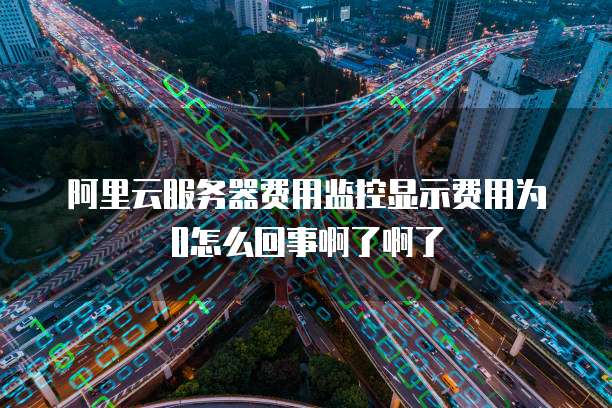 阿里云服务器费用监控显示费用为0怎么回事啊了啊了