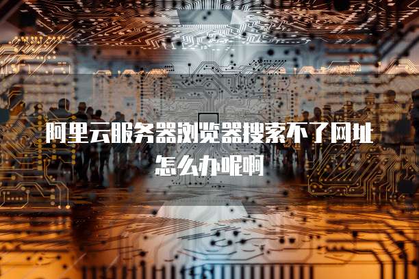 阿里云服务器浏览器搜索不了网址怎么办呢啊
