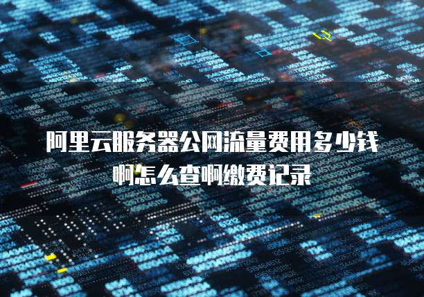 阿里云服务器公网流量费用多少钱啊怎么查啊缴费记录