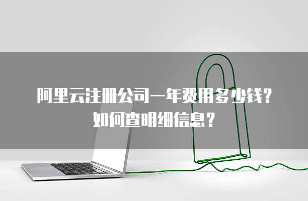 阿里云注册公司一年费用多少钱?如何查明细信息?