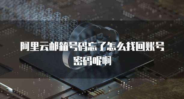 阿里云邮箱号码忘了怎么找回账号密码呢啊