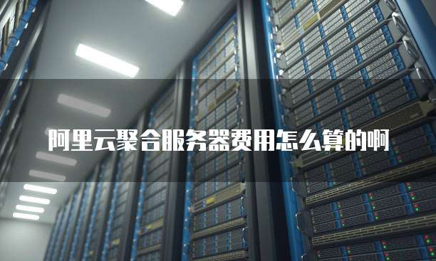 阿里云聚合服务器费用怎么算的啊