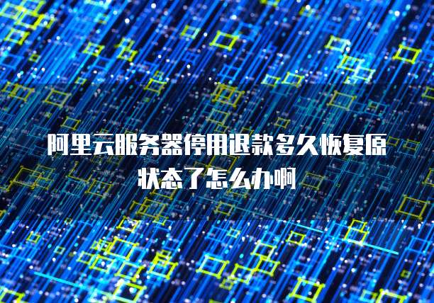 阿里云服务器停用退款多久恢复原状态了怎么办啊