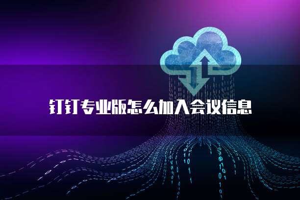钉钉专业版怎么加入会议信息