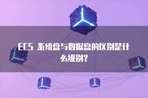 ECS 系统盘与数据盘的区别是什么级别?
