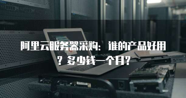 阿里云服务器采购:谁的产品好用?多少钱一个月?