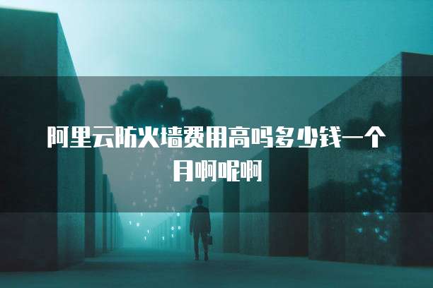 阿里云防火墙费用高吗多少钱一个月啊呢啊