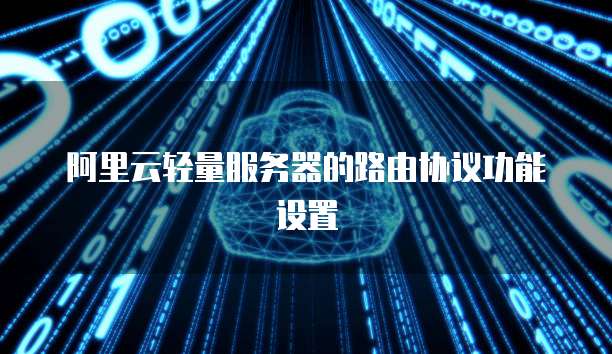 阿里云轻量服务器的路由协议功能设置