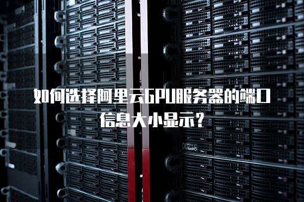 如何选择阿里云GPU服务器的端口信息大小显示?