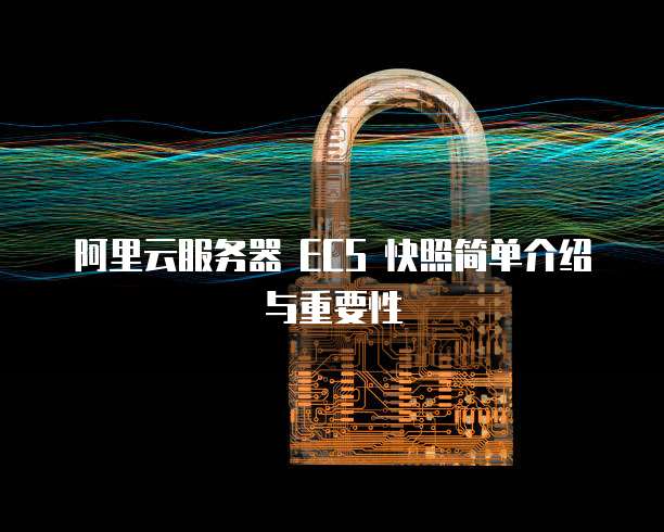 阿里云服务器 ECS 快照简单介绍与重要性