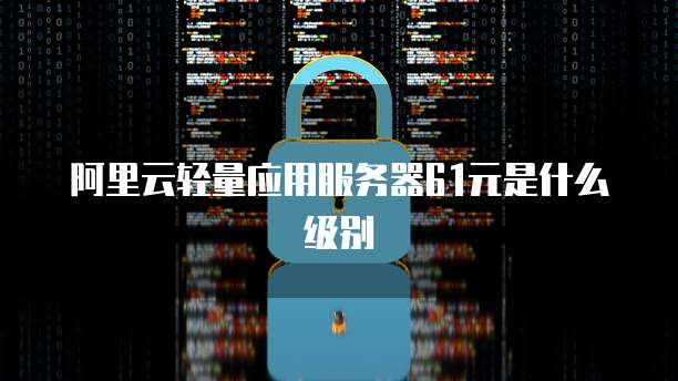阿里云轻量应用服务器61元是什么级别