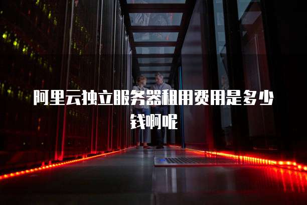 阿里云独立服务器租用费用是多少钱啊呢