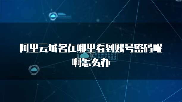 阿里云域名在哪里看到账号密码呢啊怎么办