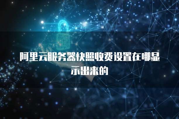 阿里云服务器快照收费设置在哪显示出来的