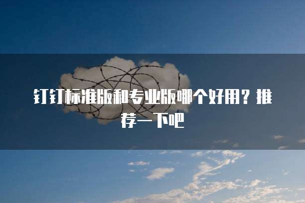 钉钉标准版和专业版哪个好用?推荐一下吧