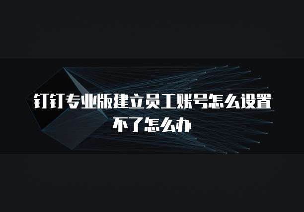 钉钉专业版建立员工账号怎么设置不了怎么办