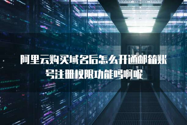 阿里云购买域名后怎么开通邮箱账号注册权限功能吗啊呢