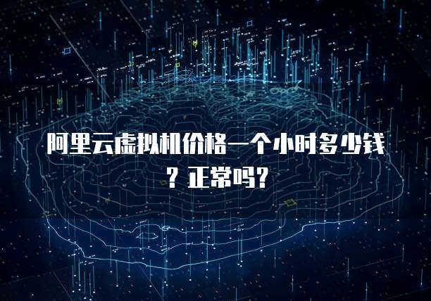 阿里云虚拟机价格一个小时多少钱?正常吗?