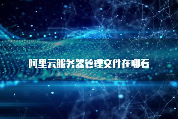 阿里云服务器管理文件在哪看