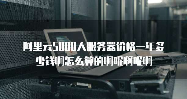阿里云5000人服务器价格一年多少钱啊怎么算的啊呢啊呢啊