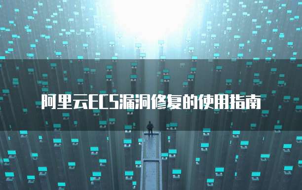 阿里云ECS漏洞修复的使用指南