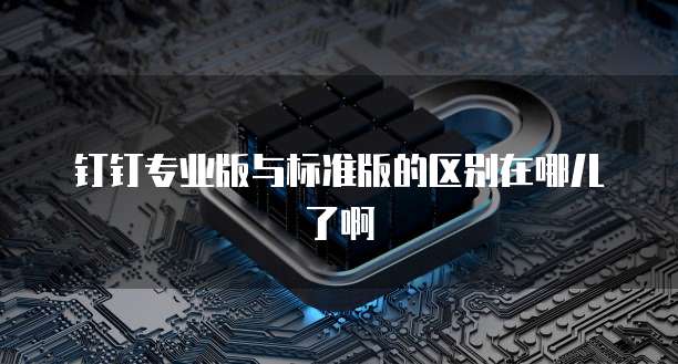 钉钉专业版与标准版的区别在哪儿了啊