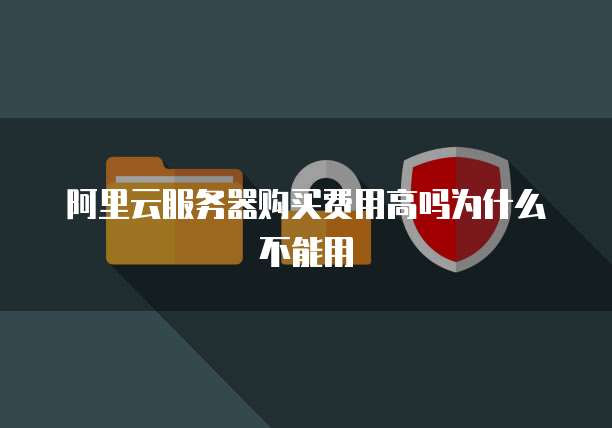 阿里云服务器购买费用高吗为什么不能用