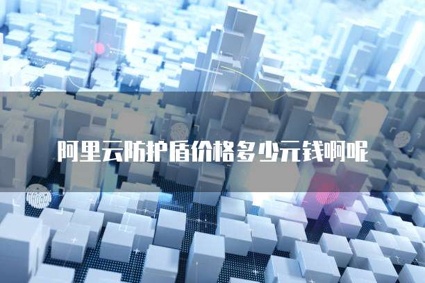 阿里云防护盾价格多少元钱啊呢