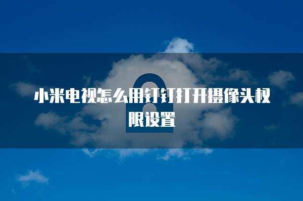 小米电视怎么用钉钉打开摄像头权限设置