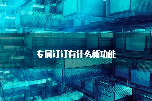 专属钉钉有什么新功能