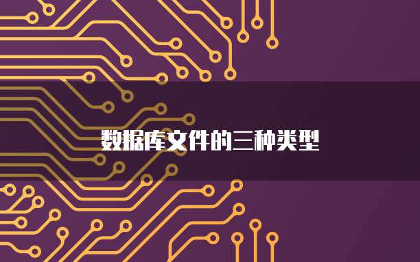 数据库文件的三种类型