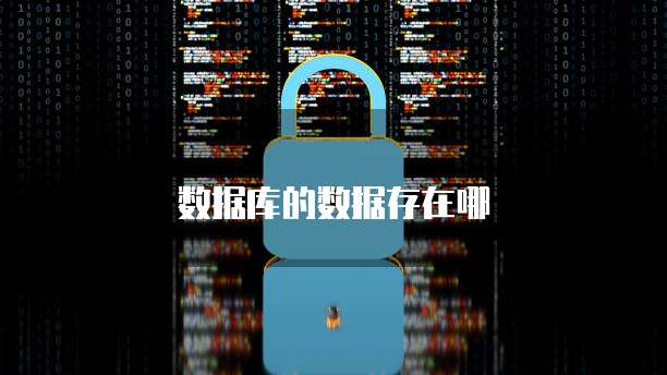 数据库的数据存在哪