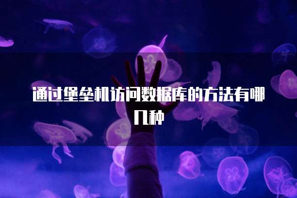 通过堡垒机访问数据库的方法有哪几种