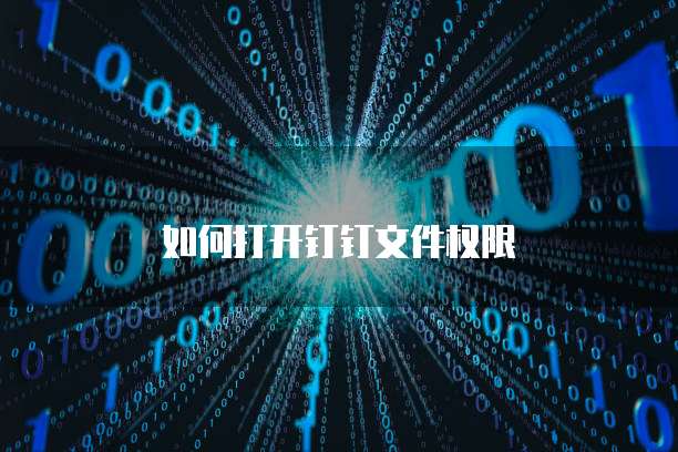 如何打开钉钉文件权限