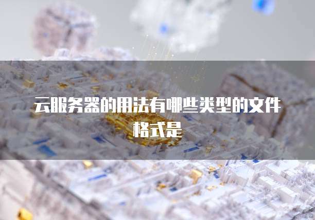 云服务器的用法有哪些类型的文件格式是